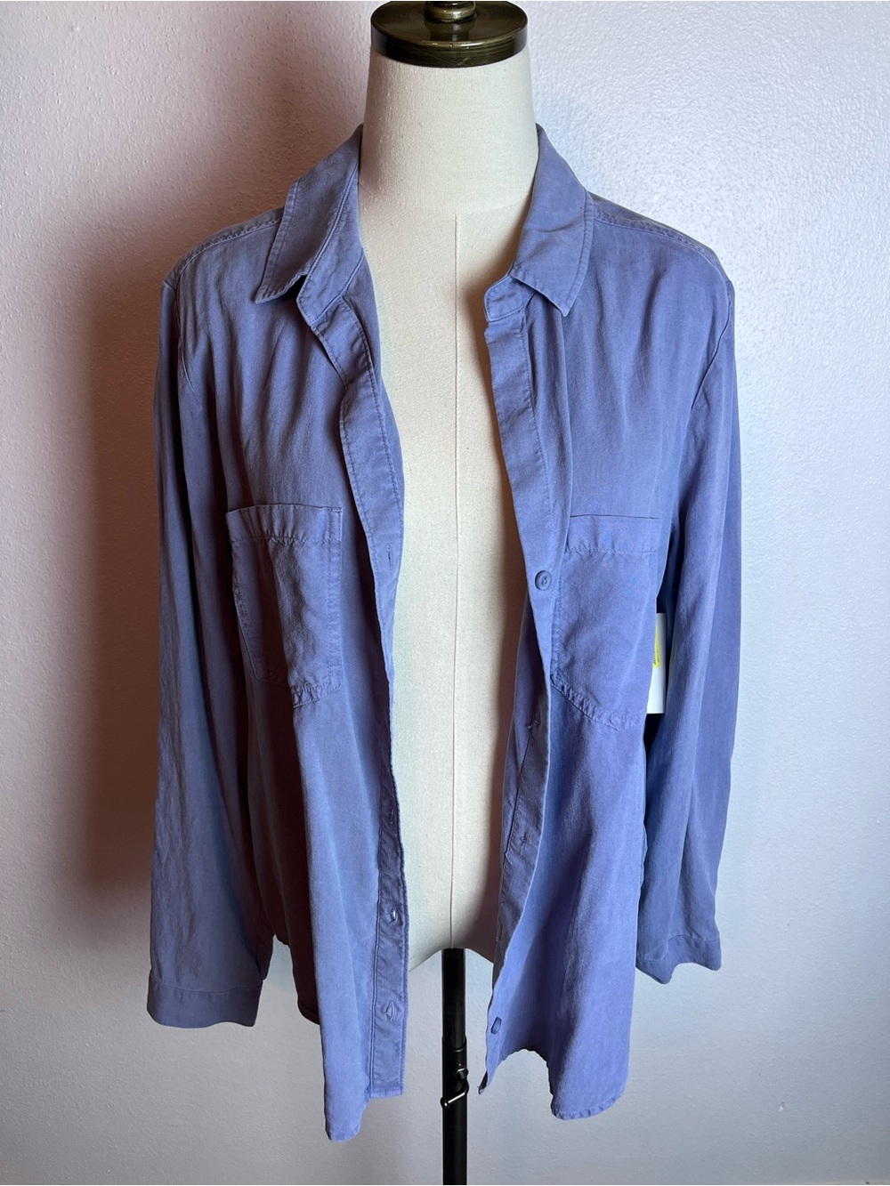 cloth & stone Blue Button-Up Shirt